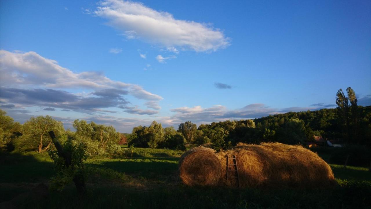 Szellosreti Vendeglak Balvanyos Buitenkant foto